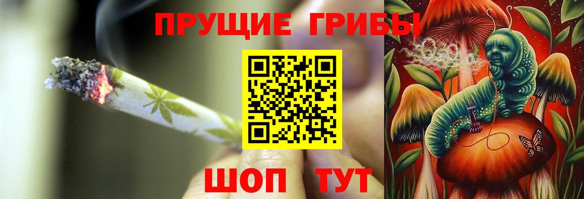где купить наркоту  Галлюциногенные грибы GOLDEN TEACHER  Вход с VPN  Симферополь 